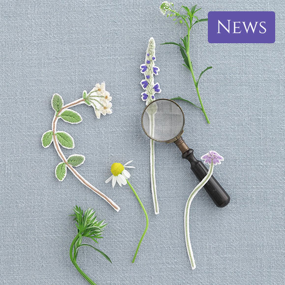 ステッチイデー vol.35 特別号