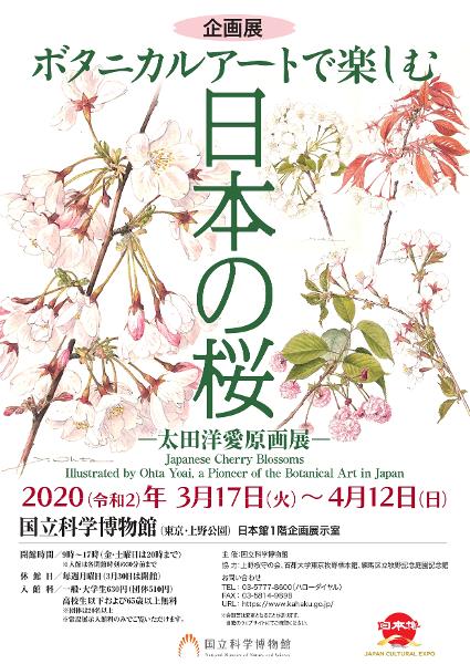 国立科学博物館】ボタニカルアートで楽しむ日本の桜 - 記事 | 日本ヴォーグ社