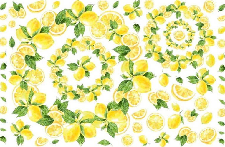 Lemon Land転写紙