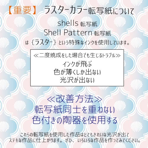 Shell pattern 転写紙　ラスターホワイト