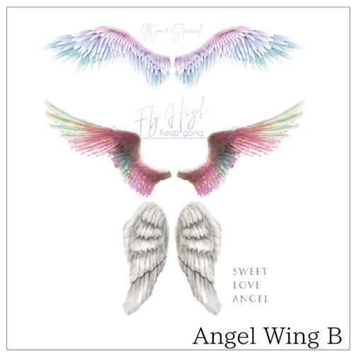 Angel Wing　B
